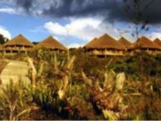 Wamena Baliem Valley Resort מראה חיצוני תמונה