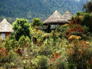 Wamena Baliem Valley Resort מראה חיצוני תמונה