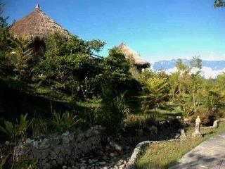 Wamena Baliem Valley Resort מראה חיצוני תמונה