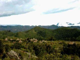 Wamena Baliem Valley Resort מראה חיצוני תמונה